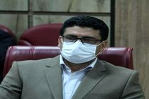 تشکیل 310 پرونده تخلف در نانوایی های استان ایلام