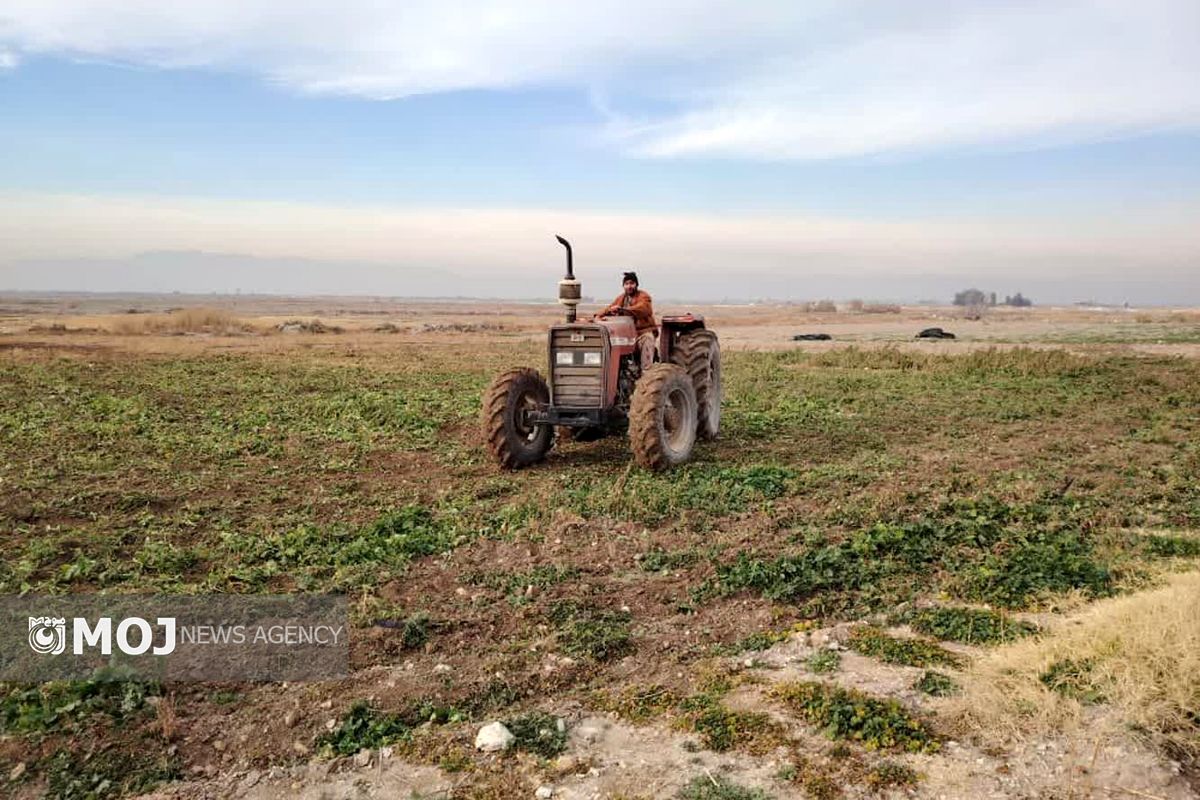 مزارع آلوده