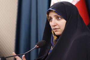 فعال‌سازی ظرفیت‌های بین‌المللی برای حفاظت از حقوق بشر و امنیت ضروری است