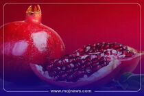 اینفوگرافیک/تکنیک خرید انار شب یلدا