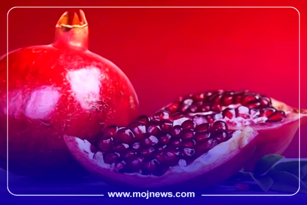 کاور اینفوی تشخیص انار موج