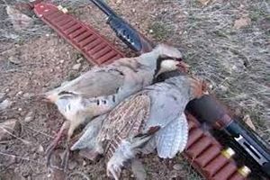 متخلفین شکار و صید در کاشان دستگیر شدند