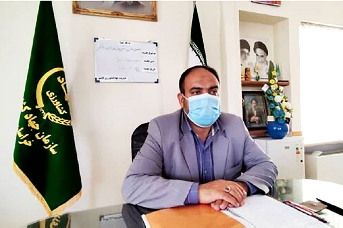 مدیر جهاد کشاورزی کاشمر