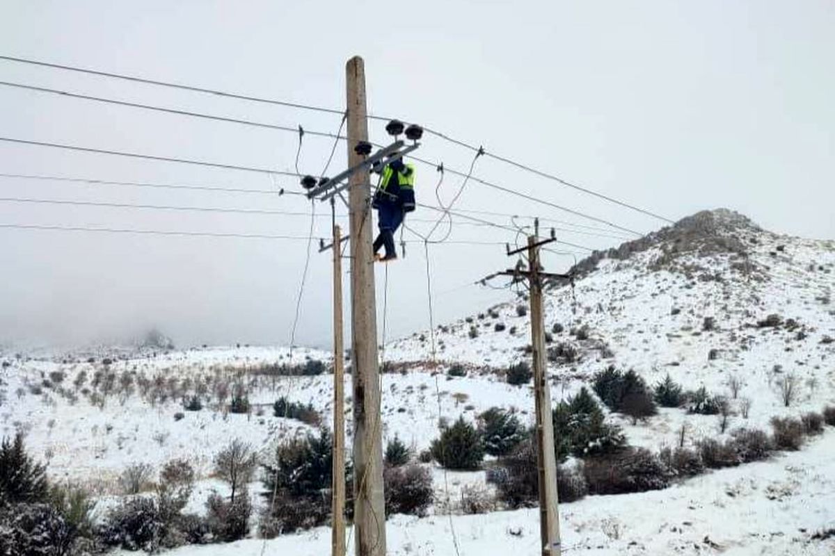 شرکت توزیع برق شیراز