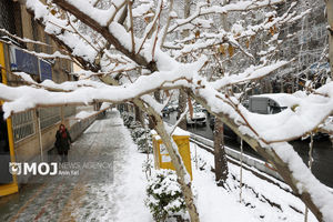 هشدار زرد هواشناسی/ سامانه بارشی و کاهش دما در راه تهران