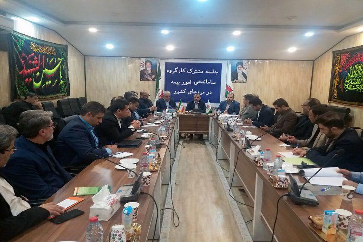 بازدید اعضای کارگروه ساماندهی امور بیمه ای از پایانه های مرزی شلمچه و چذابه