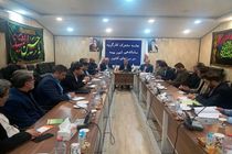 بازدید اعضای کارگروه ساماندهی امور بیمه ای از پایانه های مرزی شلمچه و چذابه