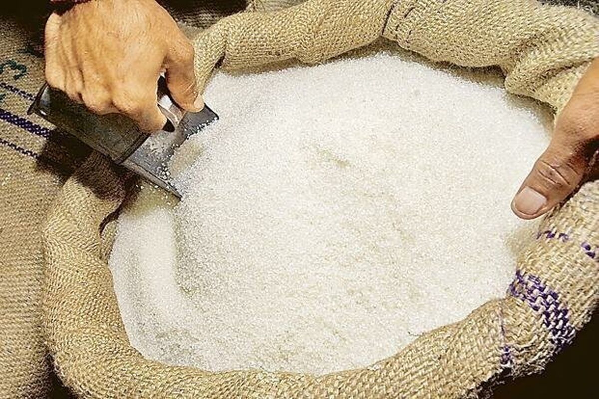 شکرجهاد