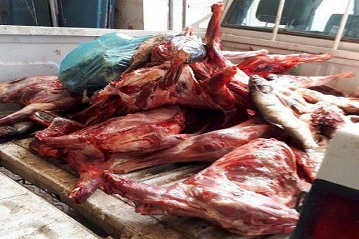 اصفهان- معدوم شدن گوشت تاریخ گذشته