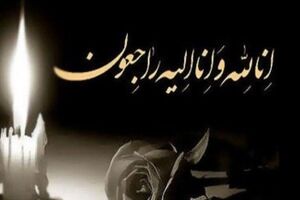 مدیر عامل بانک توسعه صادرات عزادار شد