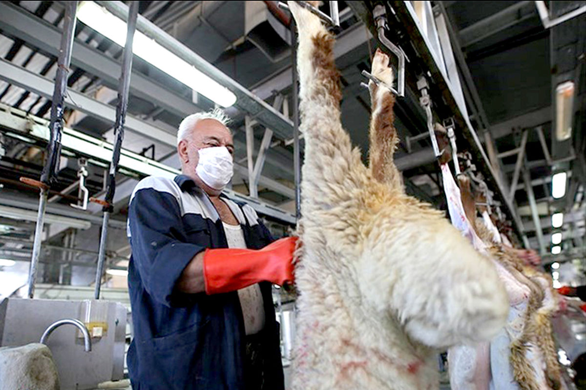 کشتارگاه صنعتی مشهد