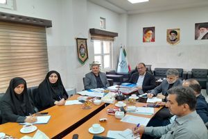 مبارزه با قاچاق خودروهای گذر موقت نیازمند اقدامات پیشگیرانه است
