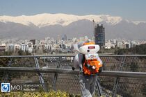 پل طبیعت تا اطلاع ثانوی تعطیل شد