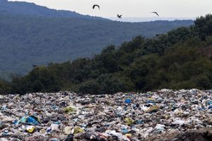 اقدامات انجام شده برای ساماندهی معضل پسماند، به مردم گزارش شود. 