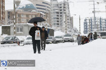نمک و محلول پاشی معابر شهر تهران در دستور کار است