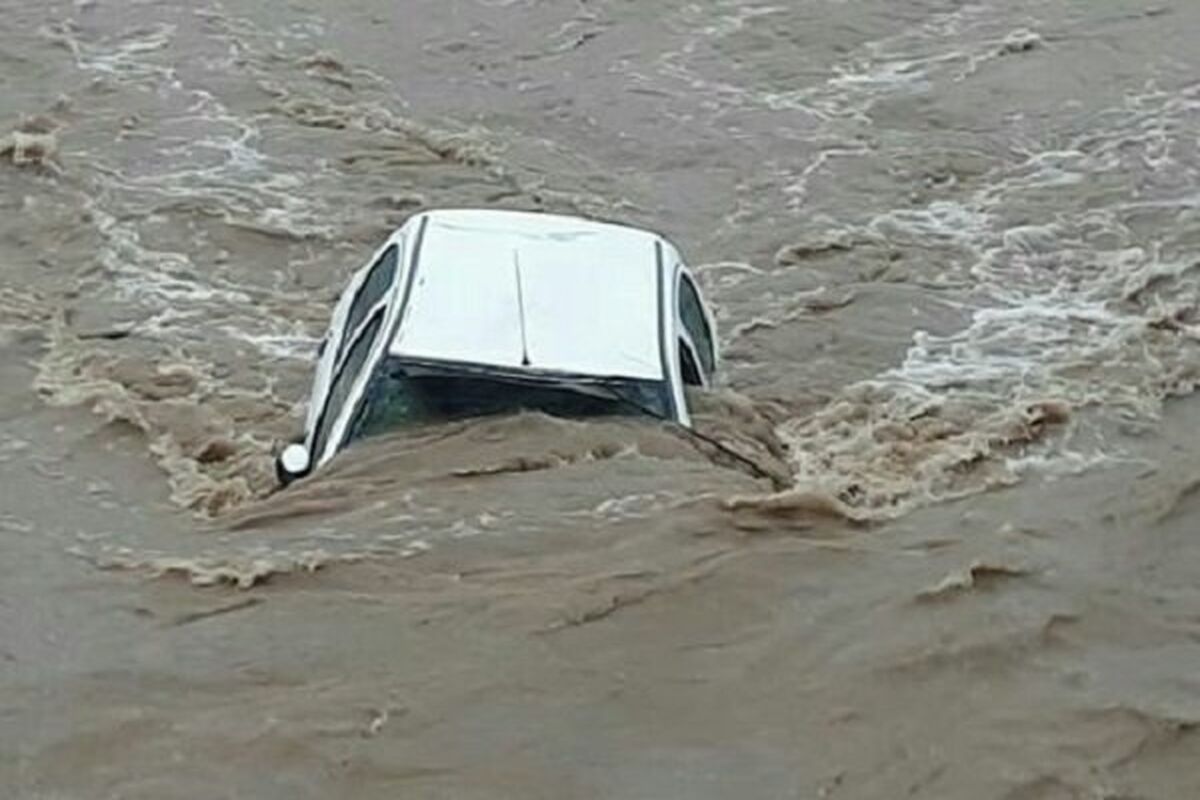 سیل در چالش