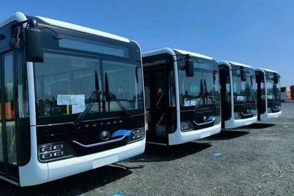 تمهیدات ویژه اتوبوسرانی تهران برای اجتماع بزرگ نیمه شعبان