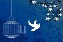 آزادی ۱۸ زندانی مالی زن اردبیلی با همت خیرین مقیم تهران