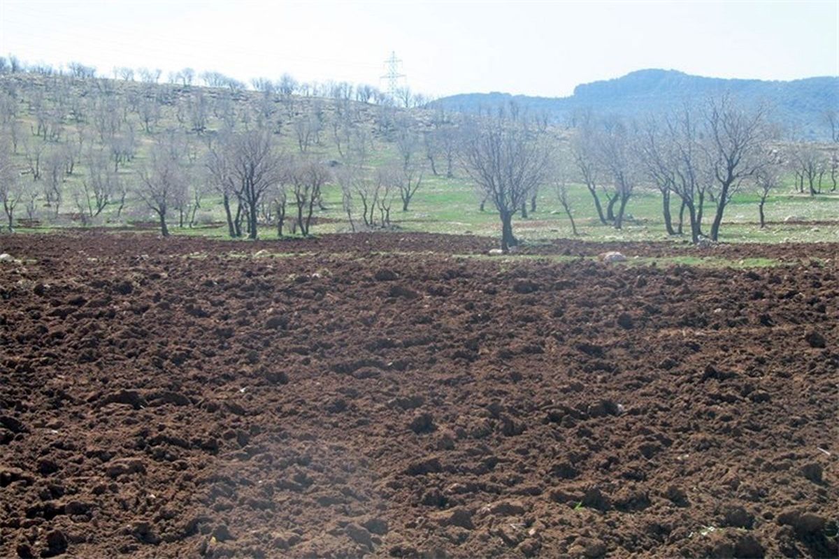 تخریب انسانی منابع طبیعی در استان گلستان