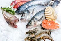 هرمزگان از مراکز مهم صادرات آبزیان