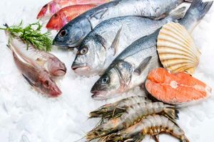 هرمزگان از مراکز مهم صادرات آبزیان