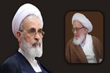 خدمات دینی و فقهی آیت‌الله فیاض ماندگار است