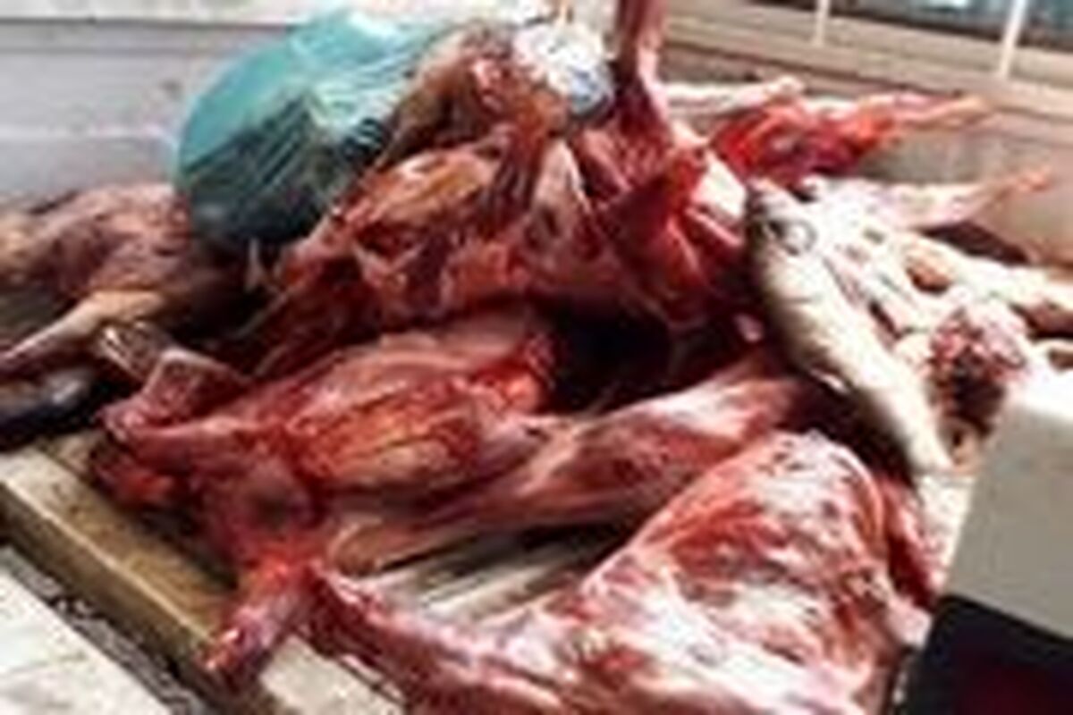 اصفهان- گوشت فاسد
