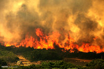 بیش از ۵۰ هکتار از زمین های بیشه شوشتر طعمه حریق شدند