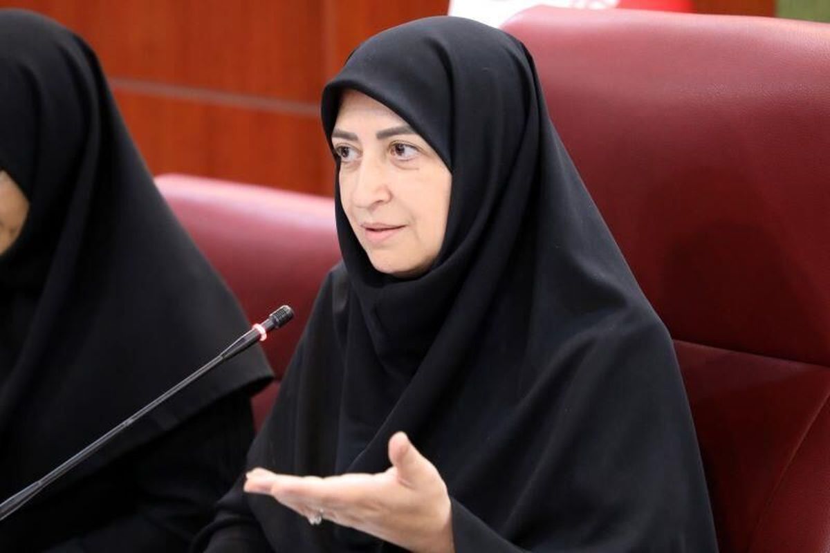 شینا انصاری، رئیس سازمان حفاظت محیط زیست