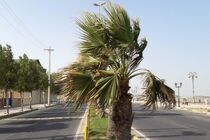 افزایش سرعت باد و گرد و غبار در مناطق شرقی و جنوب شرقی هرمزگان