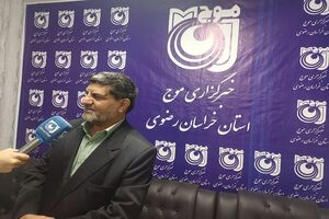 شورای شهر نباید درگیر امور اجرایی شود؛ نیاز ما مدیر اجرایی جامع‌ الاطراف است