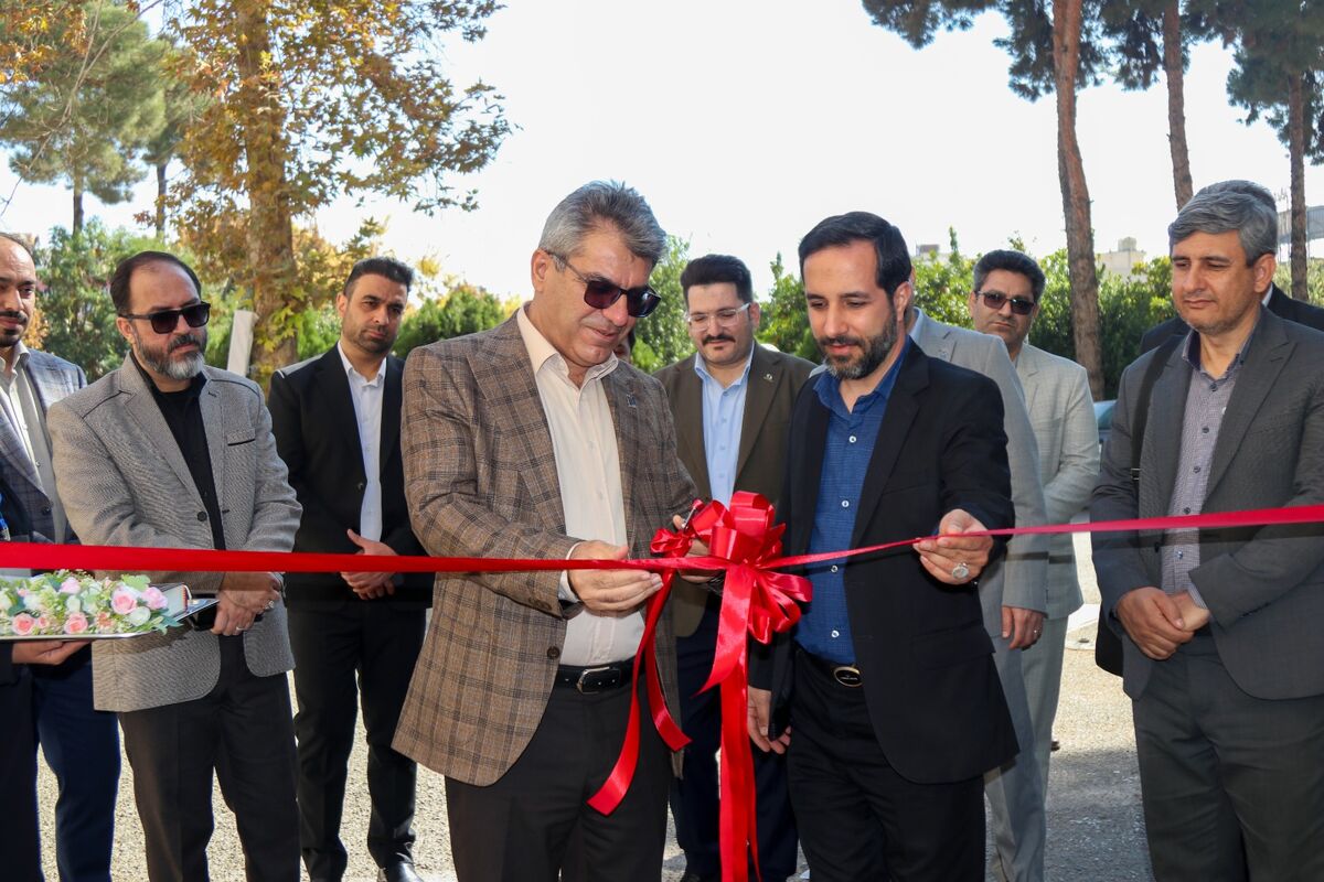 دانشگاه شیراز 