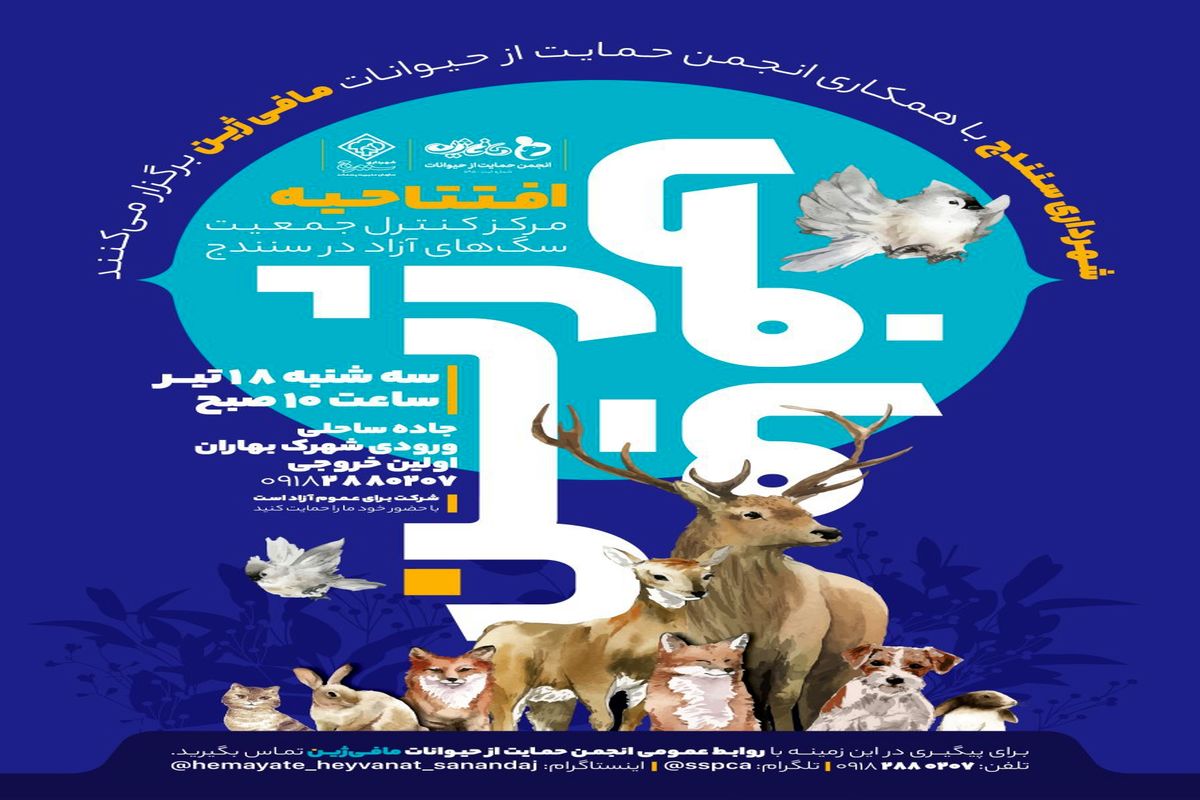 مرکز نگهداری سگ های آزاد