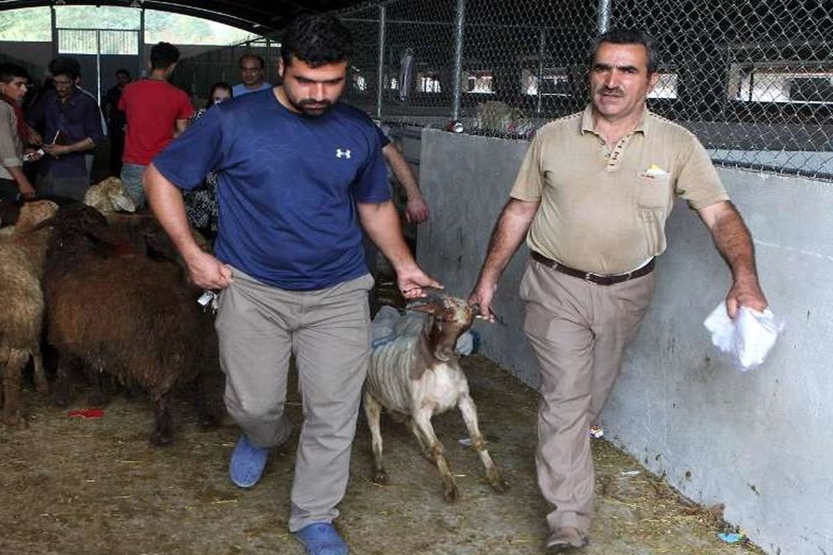 عید قربان در رشت