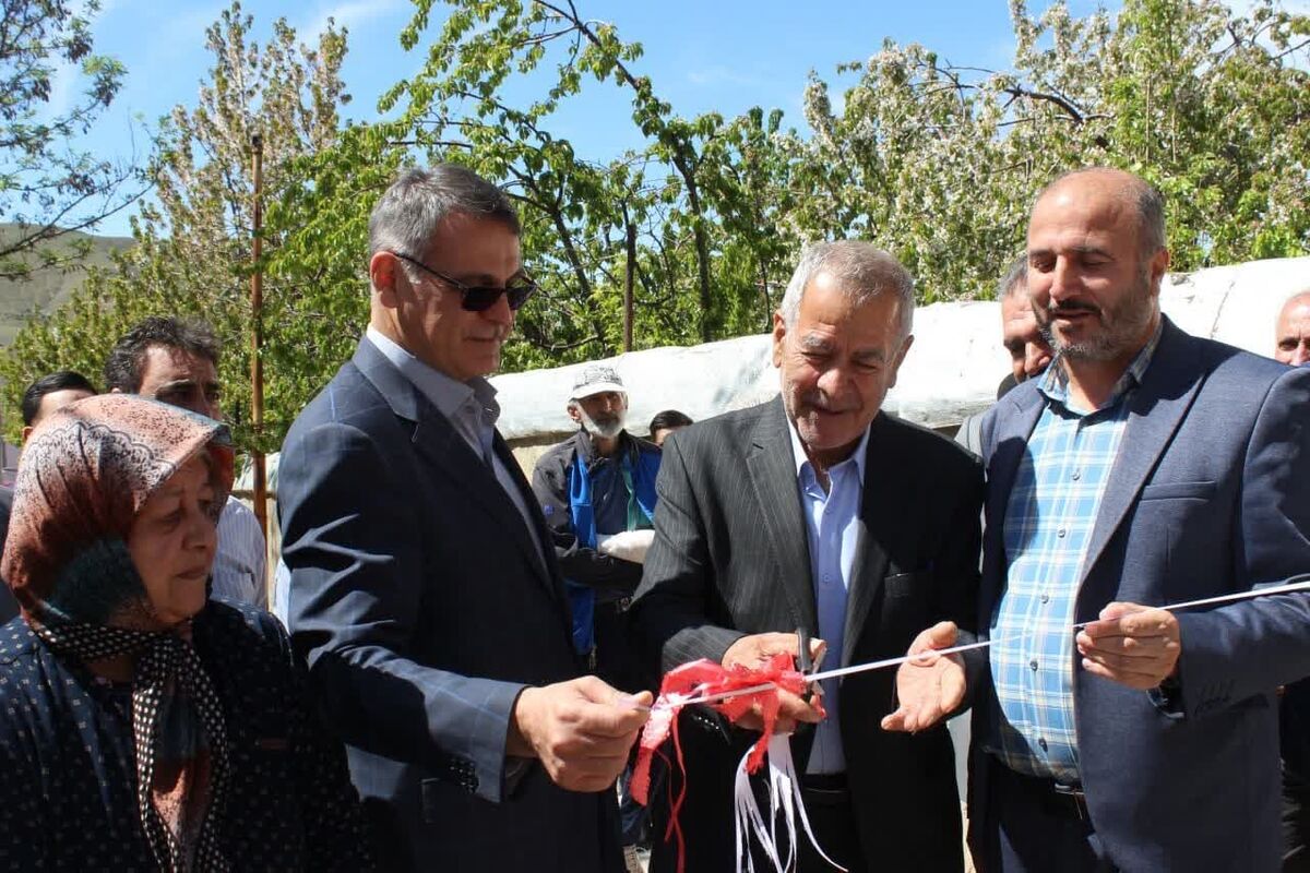 فرماندارآبیک
