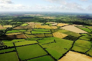 کشاورزان برای سنددار کردن اراضی اقدام کنند