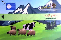 اعطای ۶۳ میلیارد تومان تسهیلات دامدار کارت به دامداران نیشابور