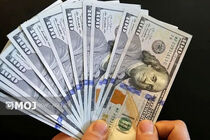 قیمت ارز امروز ۲۹ بهمن ماه ۱۴۰۳ در بازار تهران مشخص شد