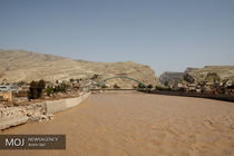 رفع کمبود شیرخشک در مناطق سیل‌زده 