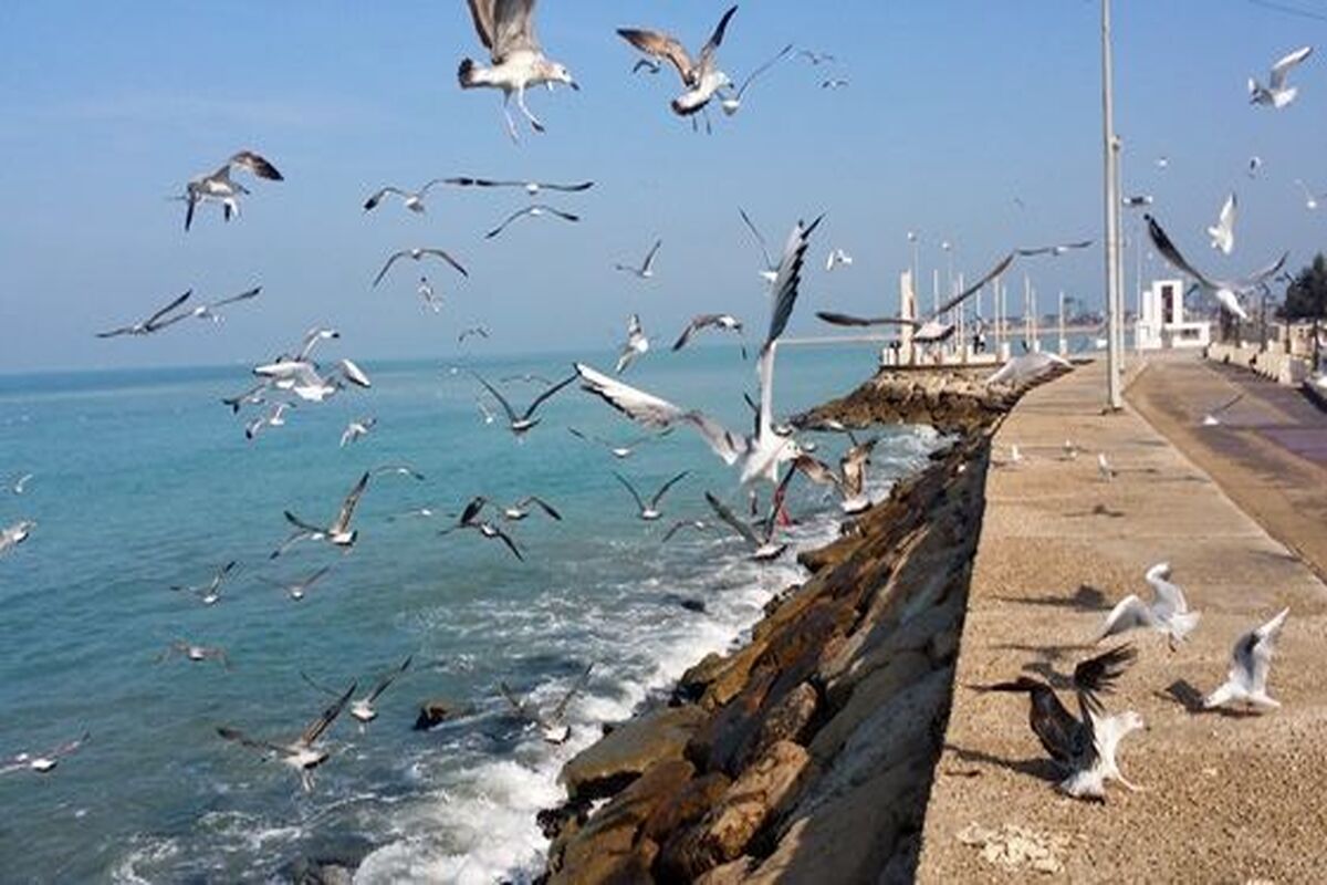 وضعیت جوی