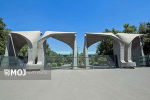 هر دانشگاه، پژوهشگاه و پژوهش‌سرا می‌تواند مستقیماً با بخش خصوصی قرارداد ببندد