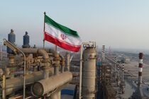 مدیرعامل شرکت ملی نفت از رشد پایدار تولید نفت خبر داد