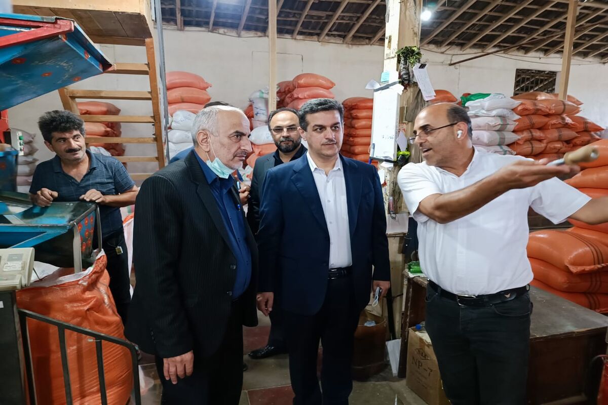 تیمور پورحیدری