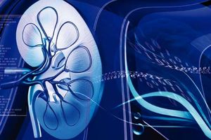  بهترین درمان نارسایی کلیه در بیماران دیابتی