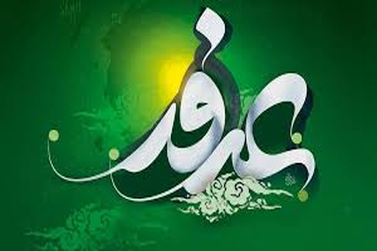 عرفه
