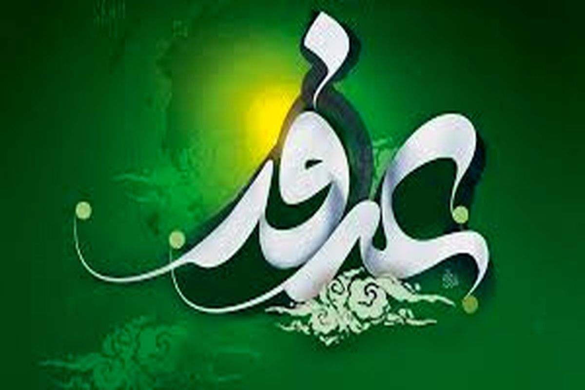 عرفه