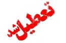جزئیات تعطیلی مدارس خراسان جنوبی