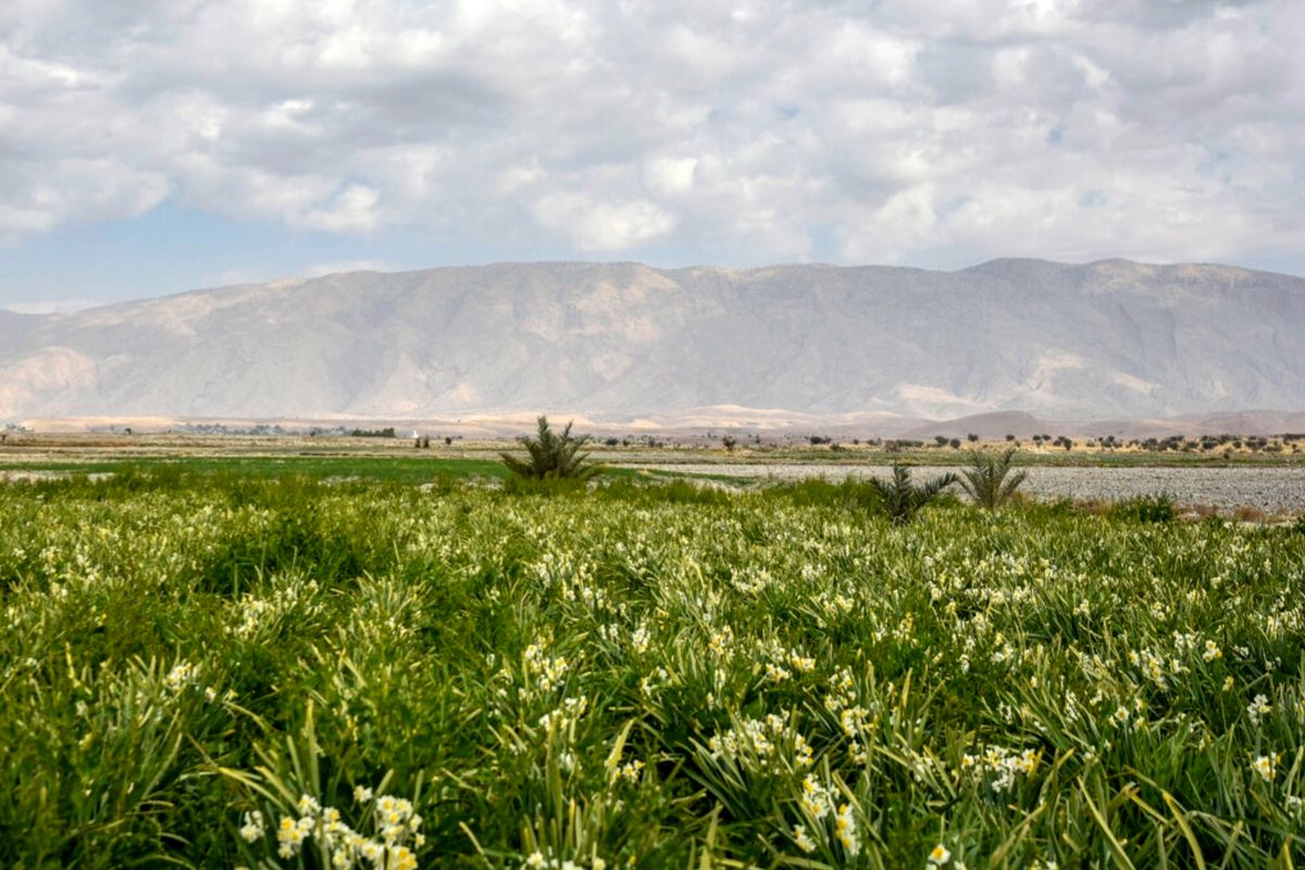 اراضی روستایی
