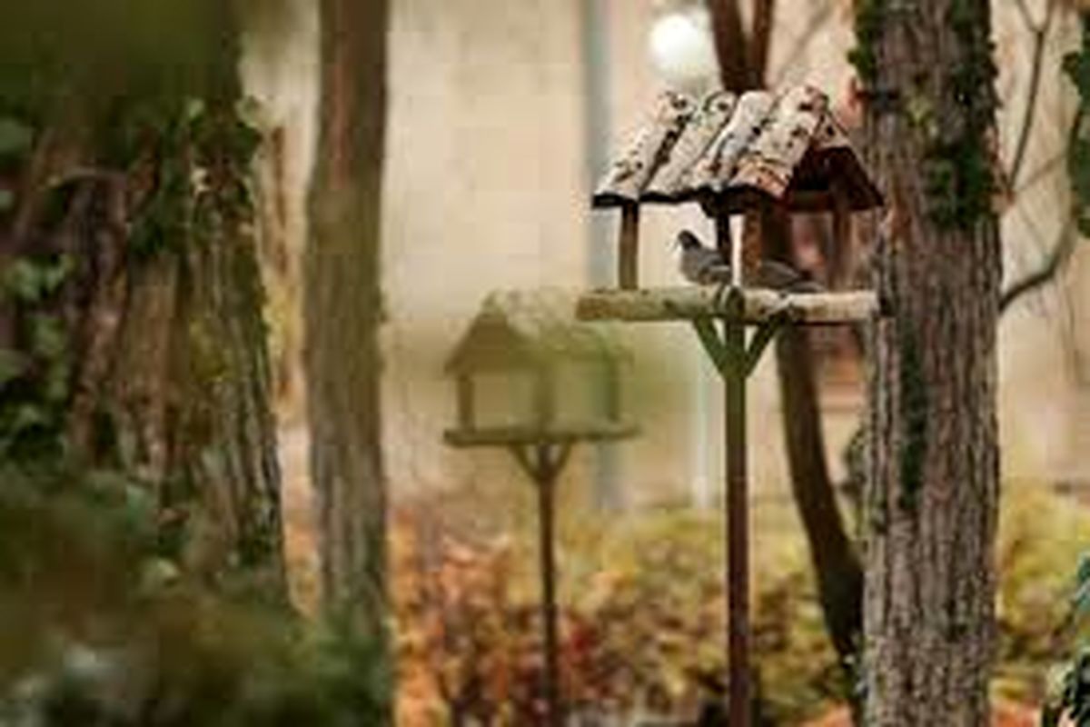 لانه دست ساز پرندگان