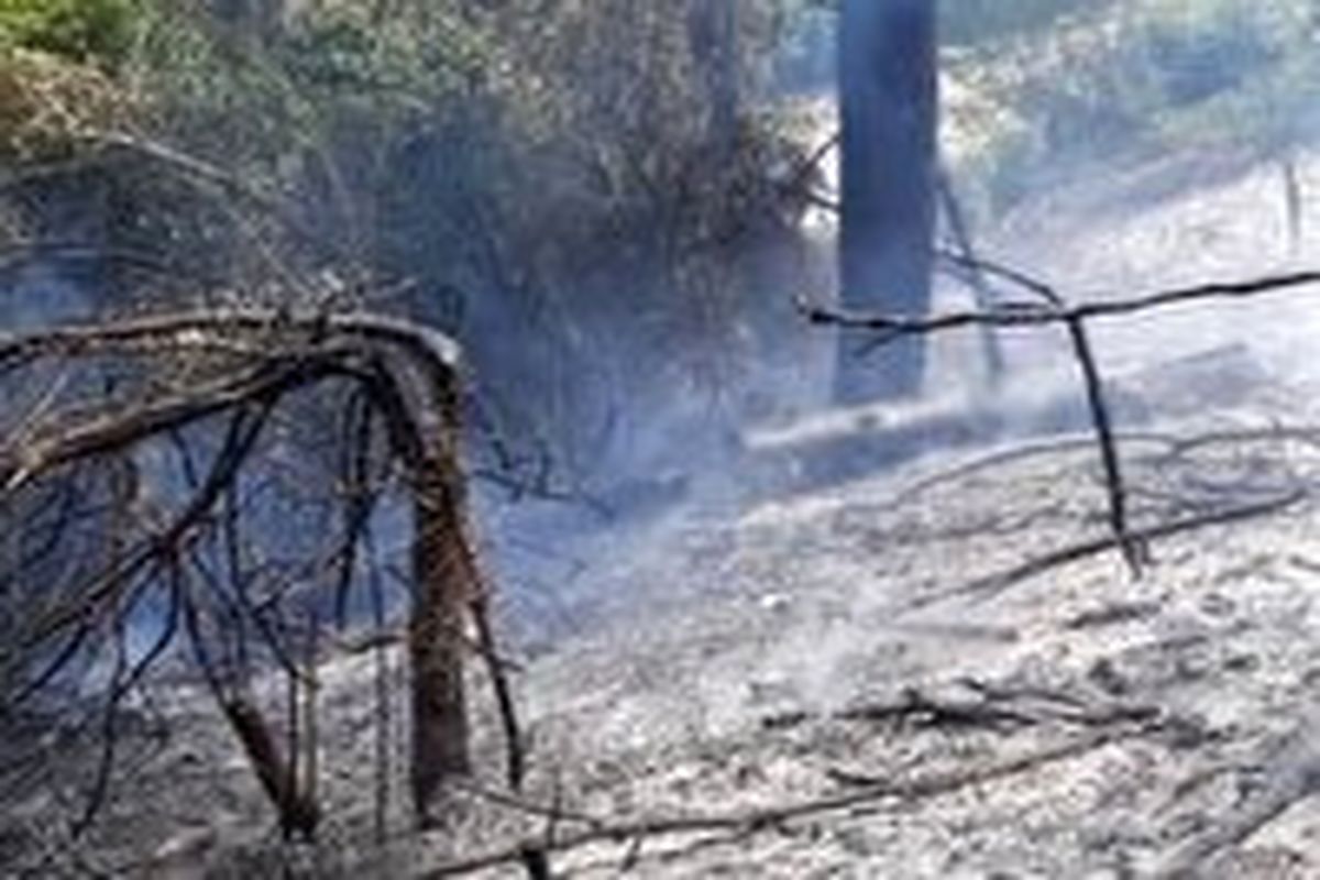 منابع طبیعی بندپی غربی بابل